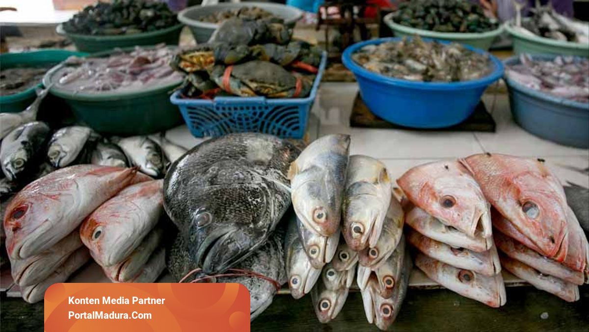 102+ Ikan Umum Air Laut HD
