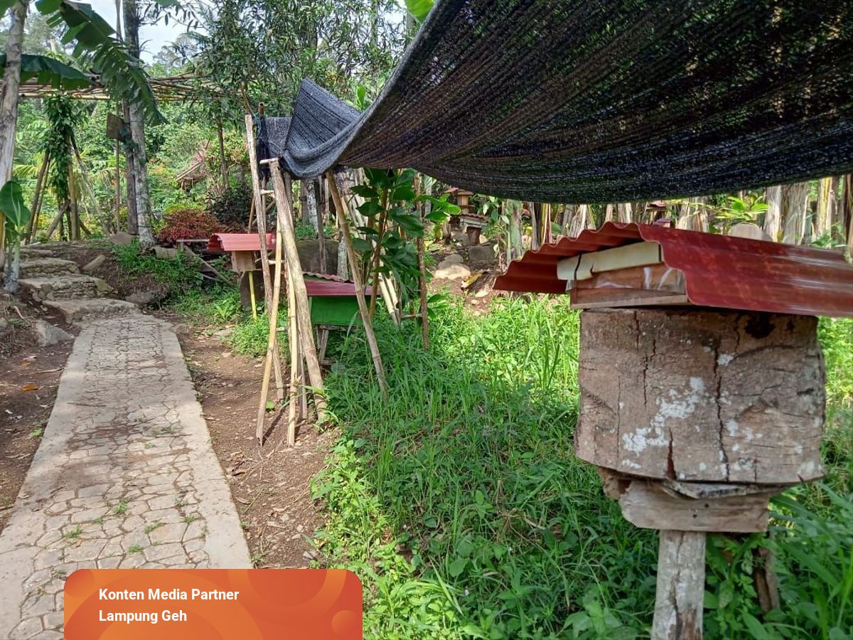 Berkunjung ke Suhita Bee Farm, Peternakan Lebah Penghasil Madu di 