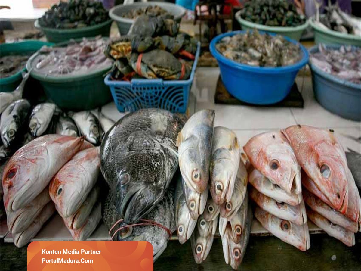 720 Koleksi Jenis Ikan Air Tawar Dan Ikan Air Laut Gratis Terbaik