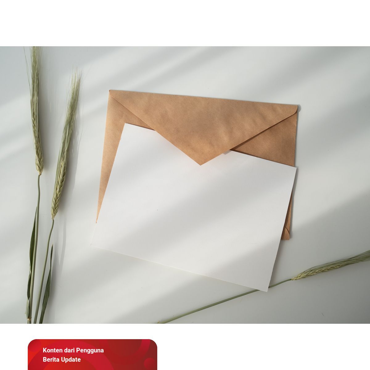 Contoh Surat Keterangan Penghasilan dan Cara Membuatnya ...