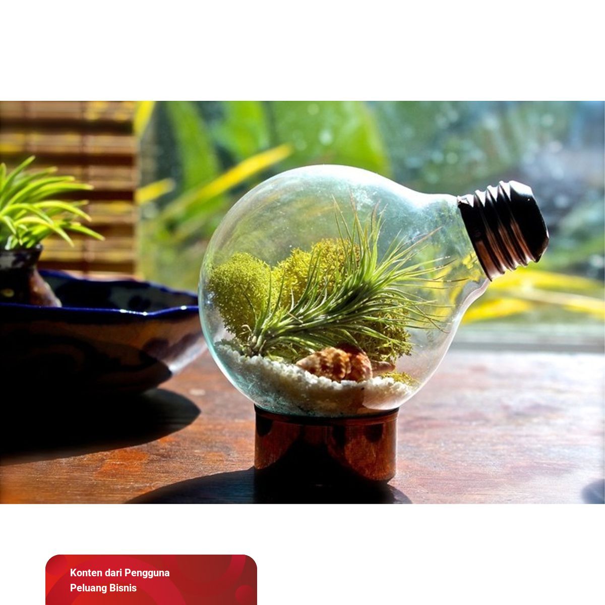5 Peluang Bisnis Kreatif yang Belum Banyak Diketahui ...