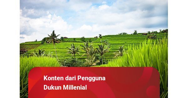 Mimpi Tentang Sawah Benarkah Akan Datang Perubahan Besar Kumparan Com