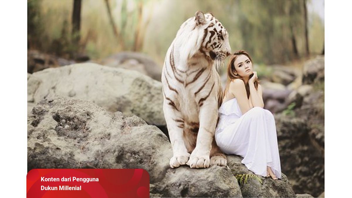 Makna Mimpi Melihat Harimau Kumparan Com Makna Mimpi Melihat Harimau Kumparan Com