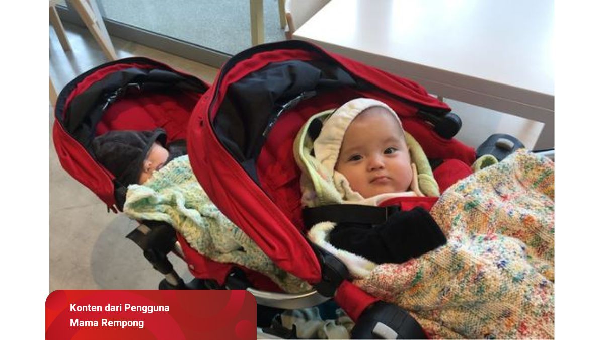 harga stroller kembar