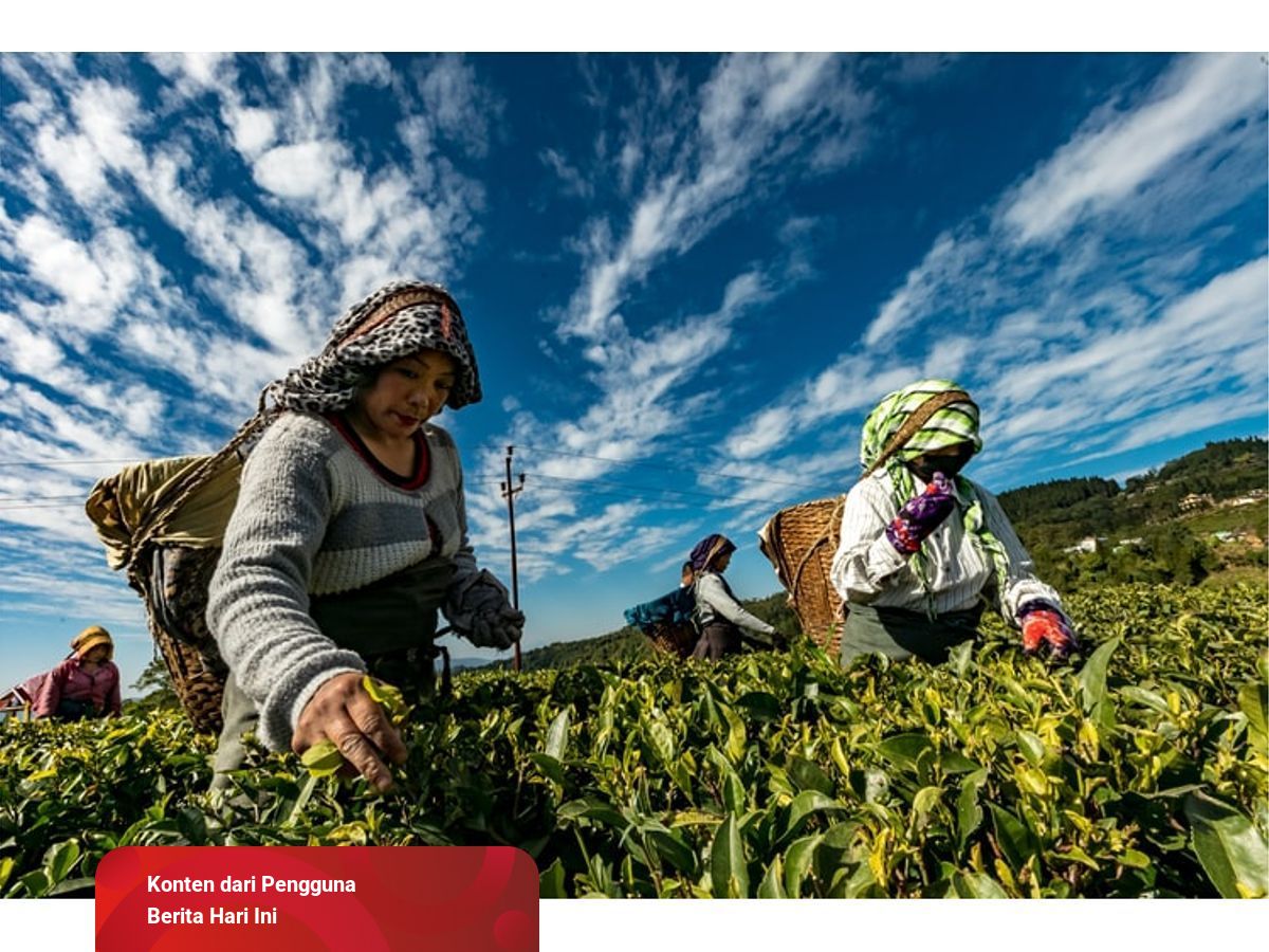 6 Contoh Pekerjaan Yang Menghasilkan Barang Kumparan Com