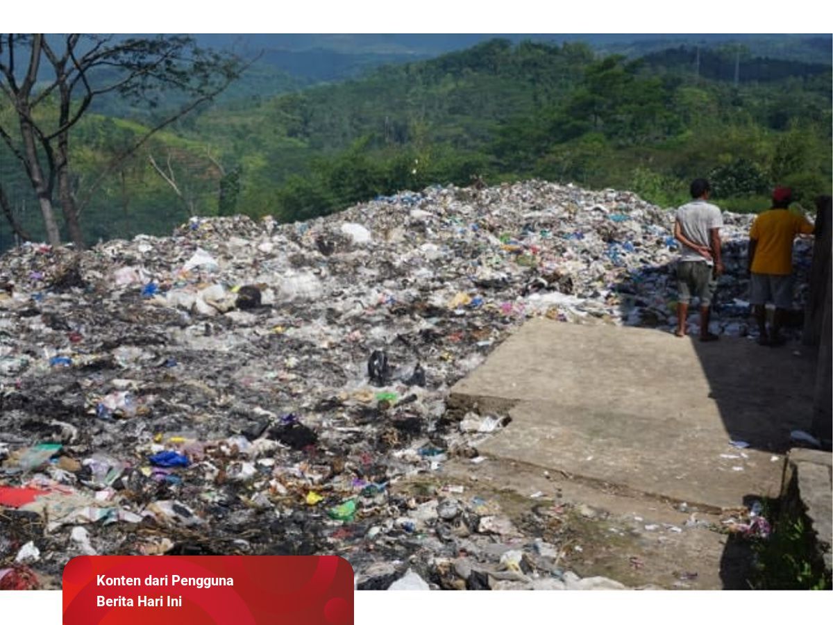 Dampak Pencemaran Lingkungan Bagi Ekosistem | kumparan.com
