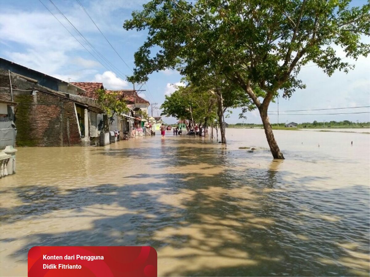 77 Koleksi Ikan Air Laut Semarang Gratis Terbaik