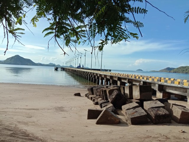 wisatawan berkunjung ke Taman Nasional Komodo