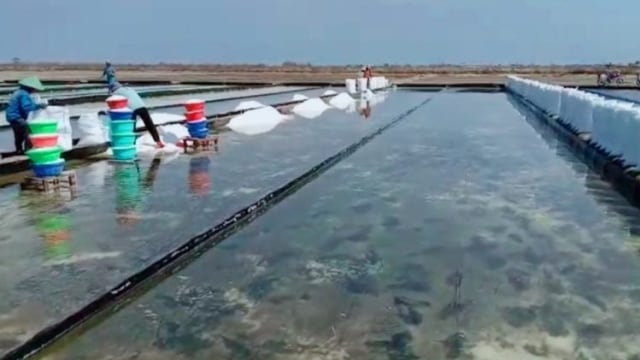 Pabrik garam modern di Gresik