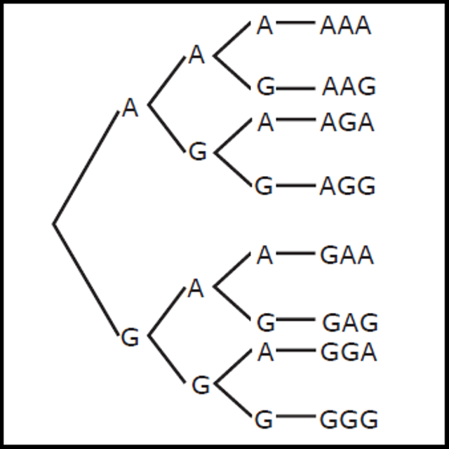 Ruang Sampel dalam Statistik