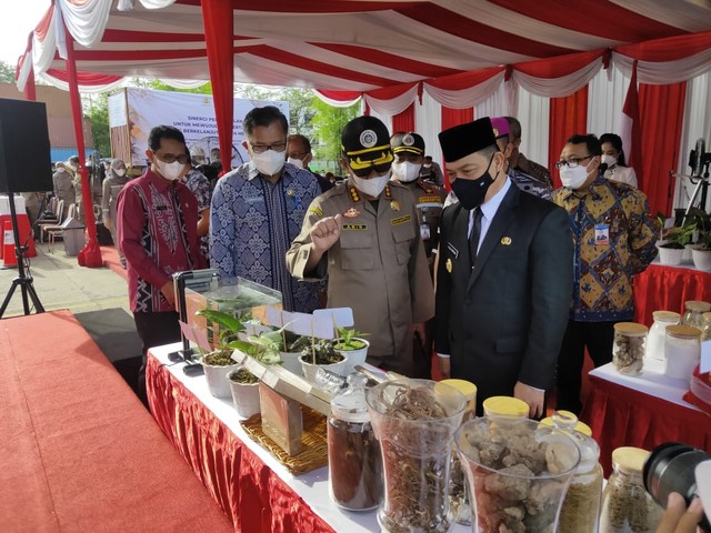 Pertanian Kalimantan Barat