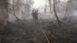 Karhutla Riau, kebakaran hutan dan lahan
