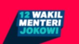 Infog 12 Wakil Menteri Jokowi