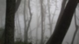 fog-1367660.jpg