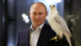 Vladimir Putin menghadiri pertemuan ahli penangkaran elang