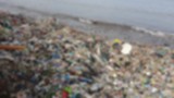 Aksi bersih-bersih Pantai Teluk