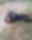 Satu pucuk senjata api M16 dan bom ditemukan di lokasi tewasnya dua teroris Poso Ali Kalora dan Jaka Ramadhan, usai kontak tembak di Wilayah Pegunungan Astina, Kecamatan Torue, Kabupaten Parigi Moutong, Sabtu (18/9). Foto: admin