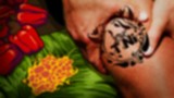 kumpus- Tato