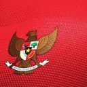 Berita Timnas Indonesia