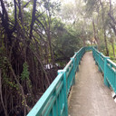 Hutan
