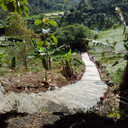 Dana Desa