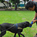 Unit K-9 Bea Cukai