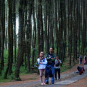 Hutan Pinus Kragilan