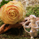 Zodiak