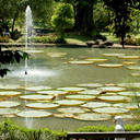 Kebun Raya Bogor
