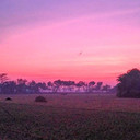 Desa