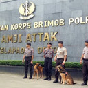 Mako Brimob