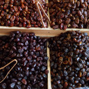 Kurma Mesir Madu