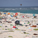 Sampah Laut