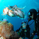 Wisata Bahari