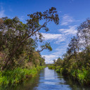 Taman Nasional Tanjung Puting