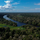 Hutan Amazon