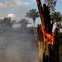 Karhutla Kalimantan