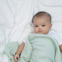 Nama Bayi Jawa