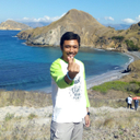 Perdhana Ari Sudewo