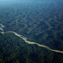 Hutan Hujan Tropis