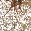 Melda Widayanti Okta