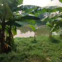 Kali Bekasi