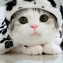 GAYUH FIKRI KHUSNAELI