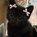 Cleo Annabelle William