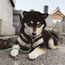 Anisa Sitanggang