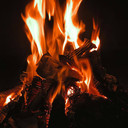 Ahmad Maula Pracerah Elfa