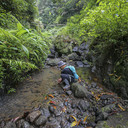 Gunung Muria