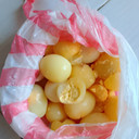 Telur Palsu di Maluku Tengah