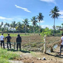 Pembunuhan Petugas Kebersihan Puskesmas di Luwu