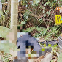 Dokter PPDS di Siak Tewas di Semak-semak